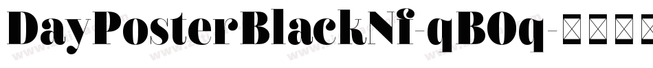 DayPosterBlackNf-qB0q字体转换