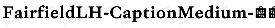 FairfieldLH-CaptionMedium字体转换