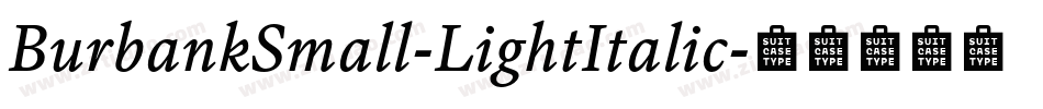 BurbankSmall-LightItalic字体转换