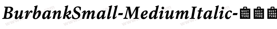 BurbankSmall-MediumItalic字体转换