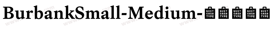 BurbankSmall-Medium字体转换