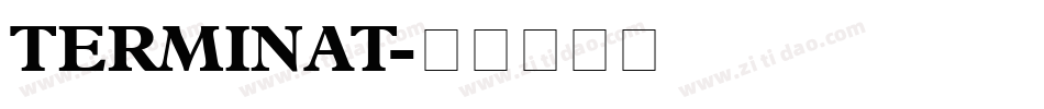 TERMINAT字体转换