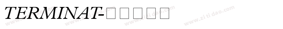 TERMINAT字体转换