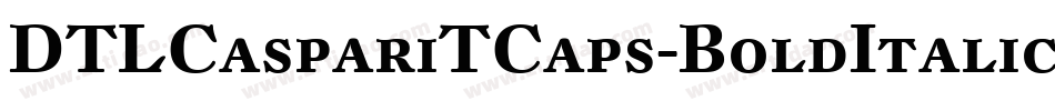 DTLCaspariTCaps-BoldItalic字体转换