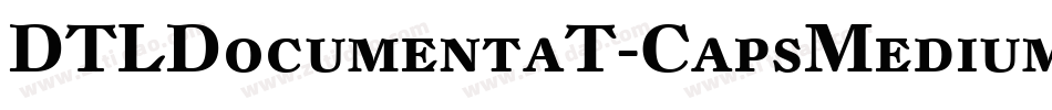 DTLDocumentaT-CapsMedium字体转换