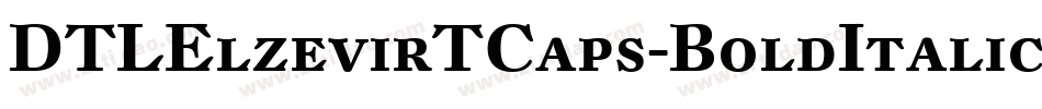 DTLElzevirTCaps-BoldItalic字体转换
