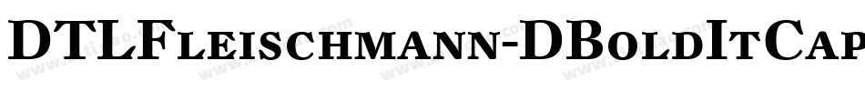 DTLFleischmann-DBoldItCaps字体转换