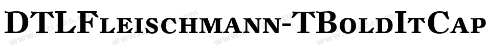 DTLFleischmann-TBoldItCaps字体转换