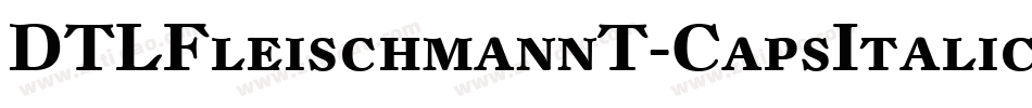 DTLFleischmannT-CapsItalic字体转换