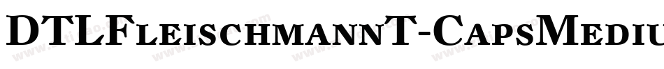 DTLFleischmannT-CapsMedium字体转换
