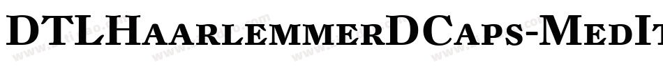 DTLHaarlemmerDCaps-MedItalic字体转换
