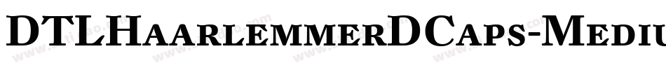 DTLHaarlemmerDCaps-Medium字体转换