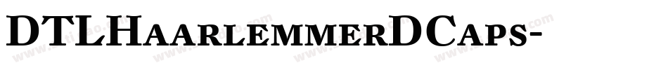 DTLHaarlemmerDCaps字体转换
