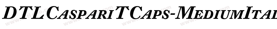 DTLCaspariTCaps-MediumItalic字体转换