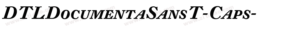 DTLDocumentaSansT-Caps字体转换