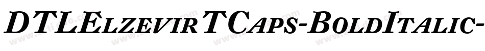 DTLElzevirTCaps-BoldItalic字体转换