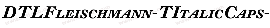 DTLFleischmann-TItalicCaps字体转换