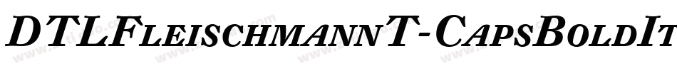 DTLFleischmannT-CapsBoldItalic字体转换