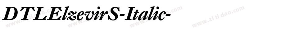DTLElzevirS-Italic字体转换