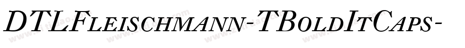 DTLFleischmann-TBoldItCaps字体转换