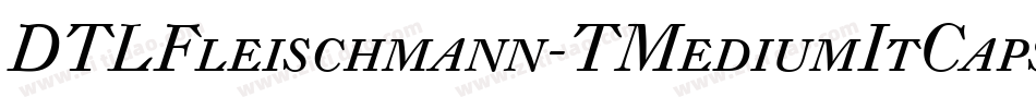 DTLFleischmann-TMediumItCaps字体转换
