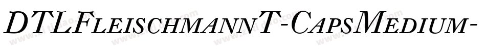 DTLFleischmannT-CapsMedium字体转换
