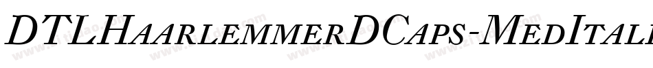 DTLHaarlemmerDCaps-MedItalic字体转换