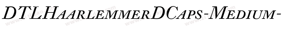 DTLHaarlemmerDCaps-Medium字体转换