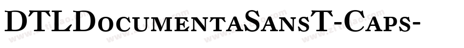 DTLDocumentaSansT-Caps字体转换