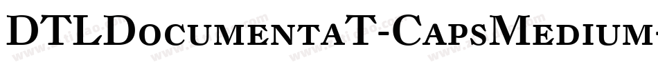 DTLDocumentaT-CapsMedium字体转换