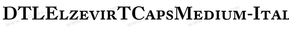 DTLElzevirTCapsMedium-Italic字体转换