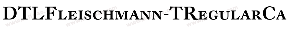 DTLFleischmann-TRegularCaps字体转换