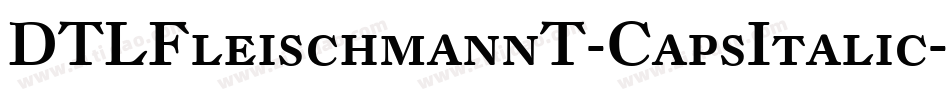 DTLFleischmannT-CapsItalic字体转换