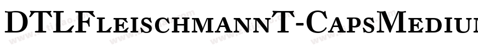 DTLFleischmannT-CapsMedium字体转换