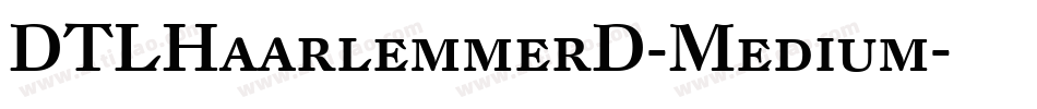 DTLHaarlemmerD-Medium字体转换