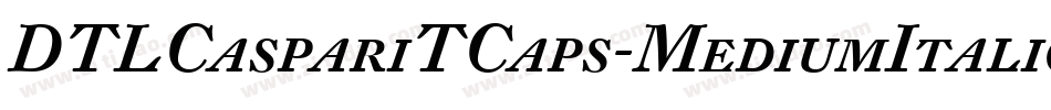 DTLCaspariTCaps-MediumItalic字体转换