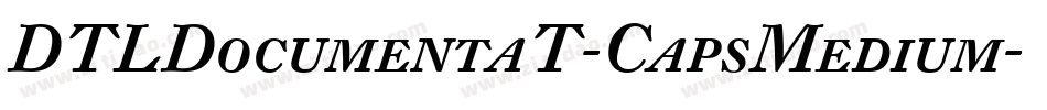 DTLDocumentaT-CapsMedium字体转换