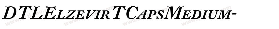 DTLElzevirTCapsMedium字体转换