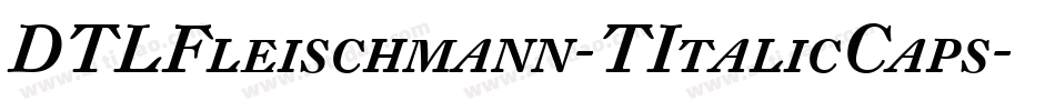DTLFleischmann-TItalicCaps字体转换