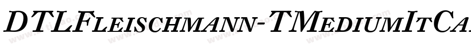 DTLFleischmann-TMediumItCaps字体转换