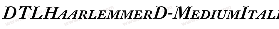 DTLHaarlemmerD-MediumItalic字体转换