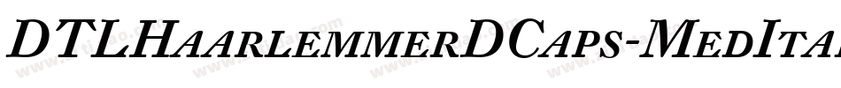 DTLHaarlemmerDCaps-MedItalic字体转换