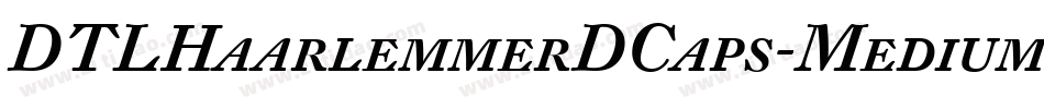 DTLHaarlemmerDCaps-Medium字体转换