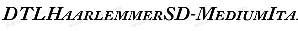 DTLHaarlemmerSD-MediumItalic字体转换