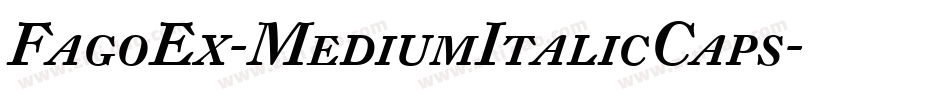 FagoEx-MediumItalicCaps字体转换