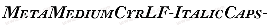 MetaMediumCyrLF-ItalicCaps字体转换