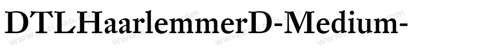 DTLHaarlemmerD-Medium字体转换