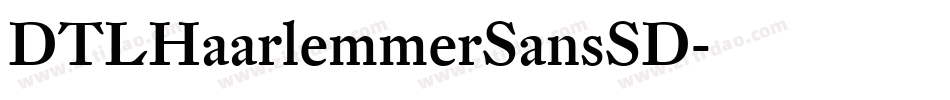 DTLHaarlemmerSansSD字体转换