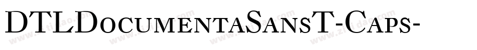 DTLDocumentaSansT-Caps字体转换