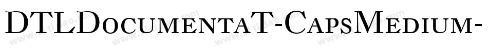 DTLDocumentaT-CapsMedium字体转换